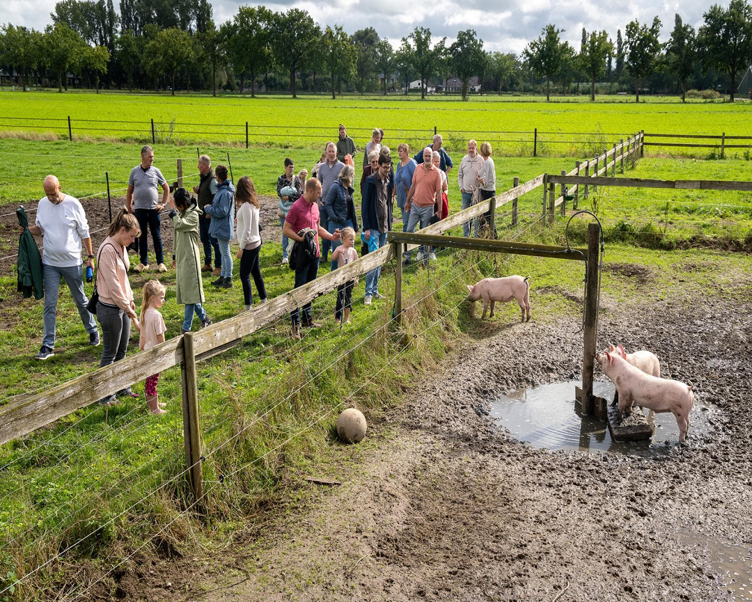 Dijk43 Veldhuis Weekend van het Varken