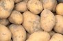 aardappelen vallei proeflokaal