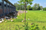 binnenveldse-boeren-bio-kip