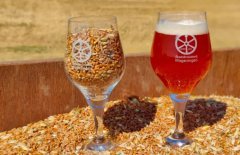 stadsbrouwerij-wageningen