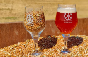 stadsbrouwerij-wageningen