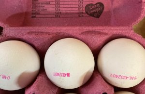 groot-wagensveld-biologische-eieren