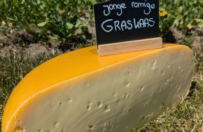 graskaas
