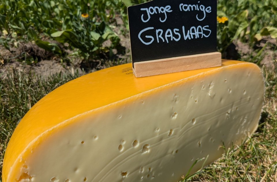 graskaas