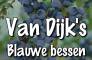 blauwe bessen