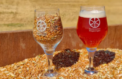 stadsbrouwerij-wageningen